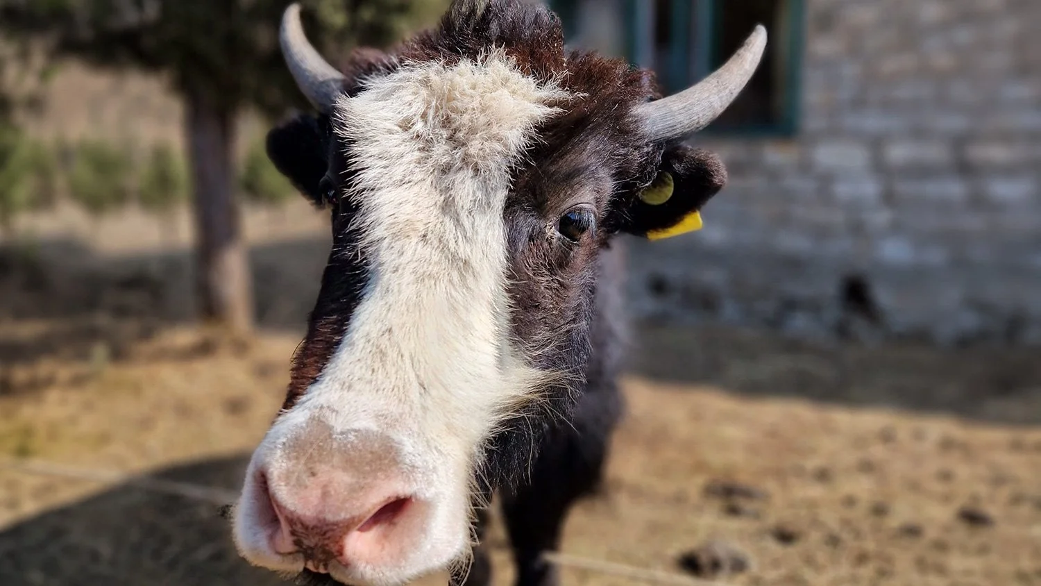 Doing Science On The Roof Of The World