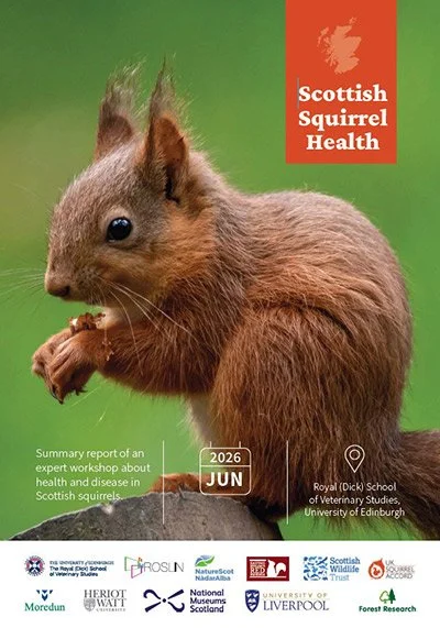 Squirrel Health Report