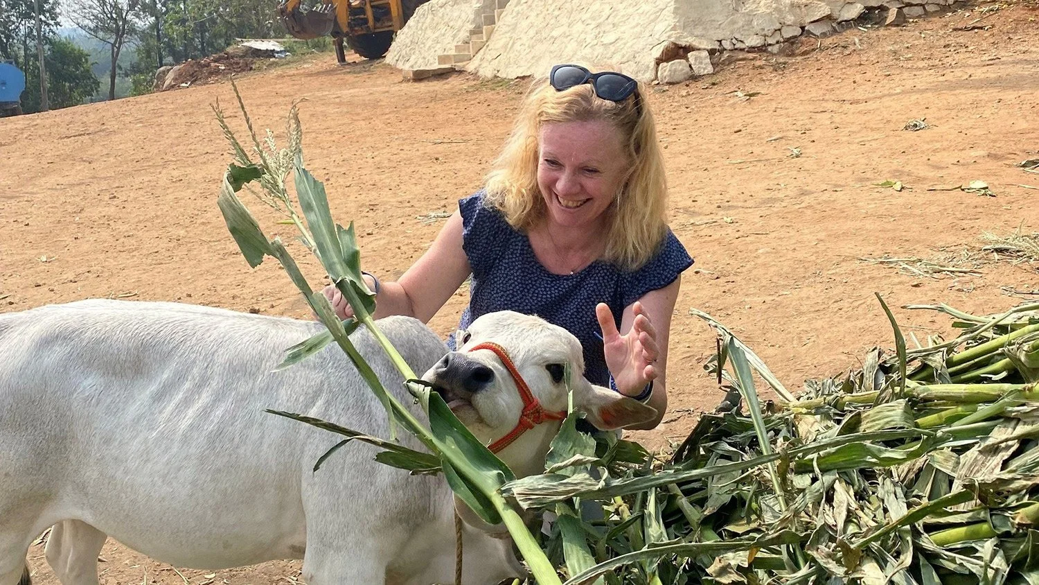 Professor Cathy Dwyer out in India looking at animal welfare practices