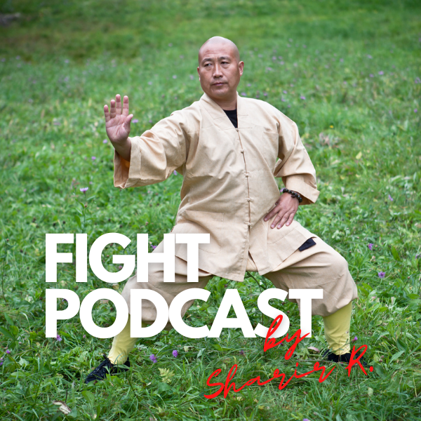 Fight Podcast #15: MMA vs. Traditional Martial Arts
