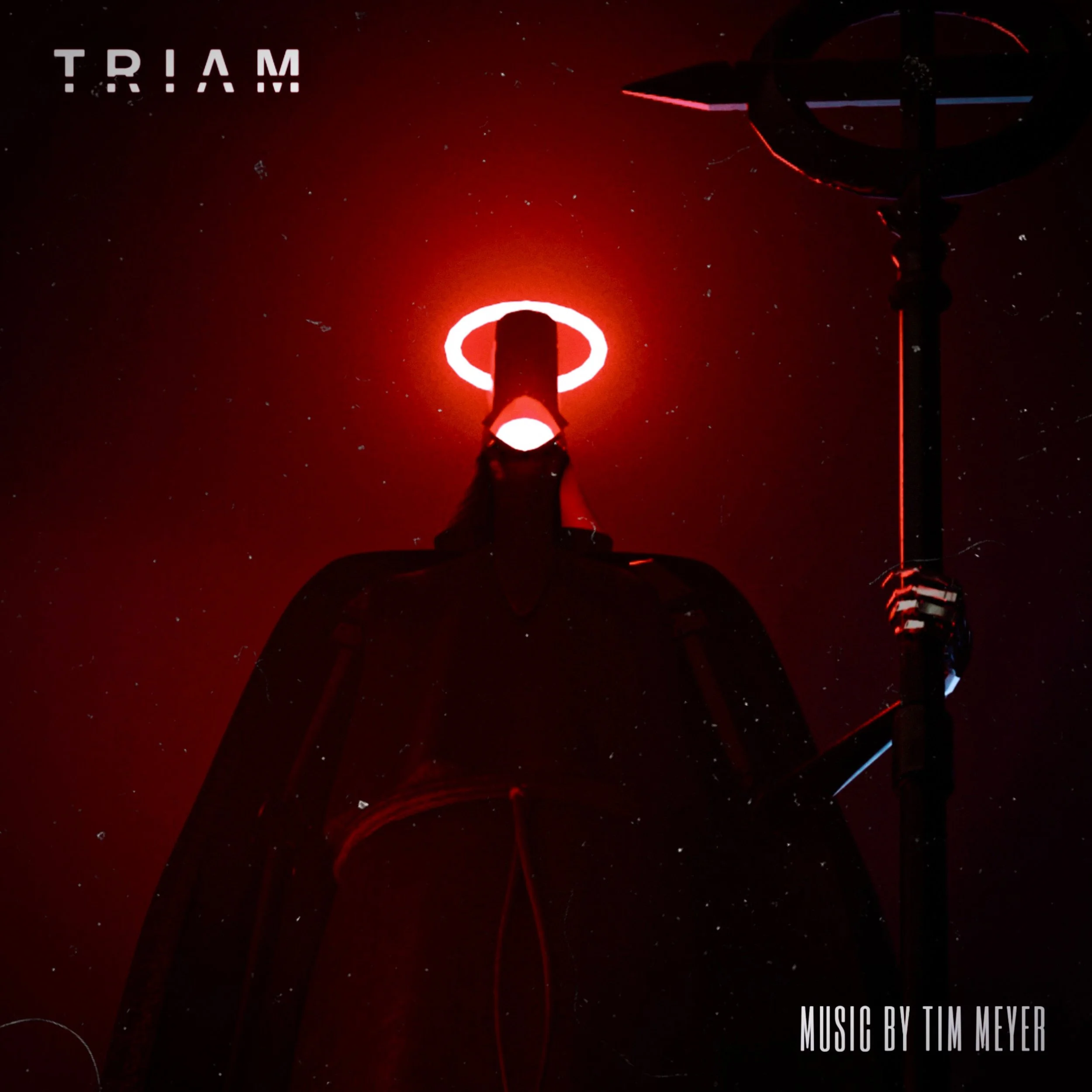 TRIAM Cover.JPEG