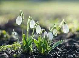 A New Series:                     From Generative Practice to Radical Hope. 