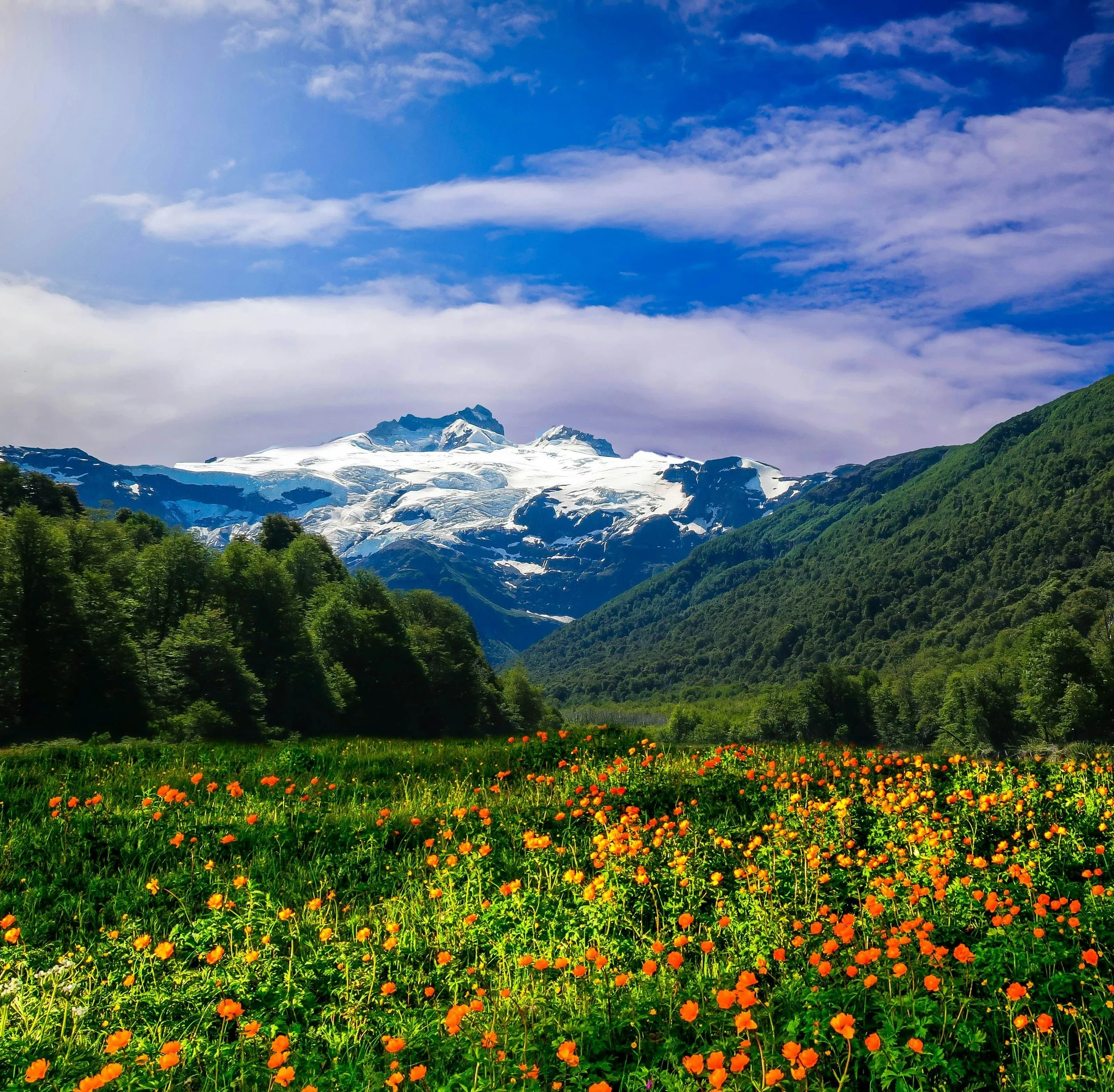  Radical Hope #6: The Field That Holds Us
