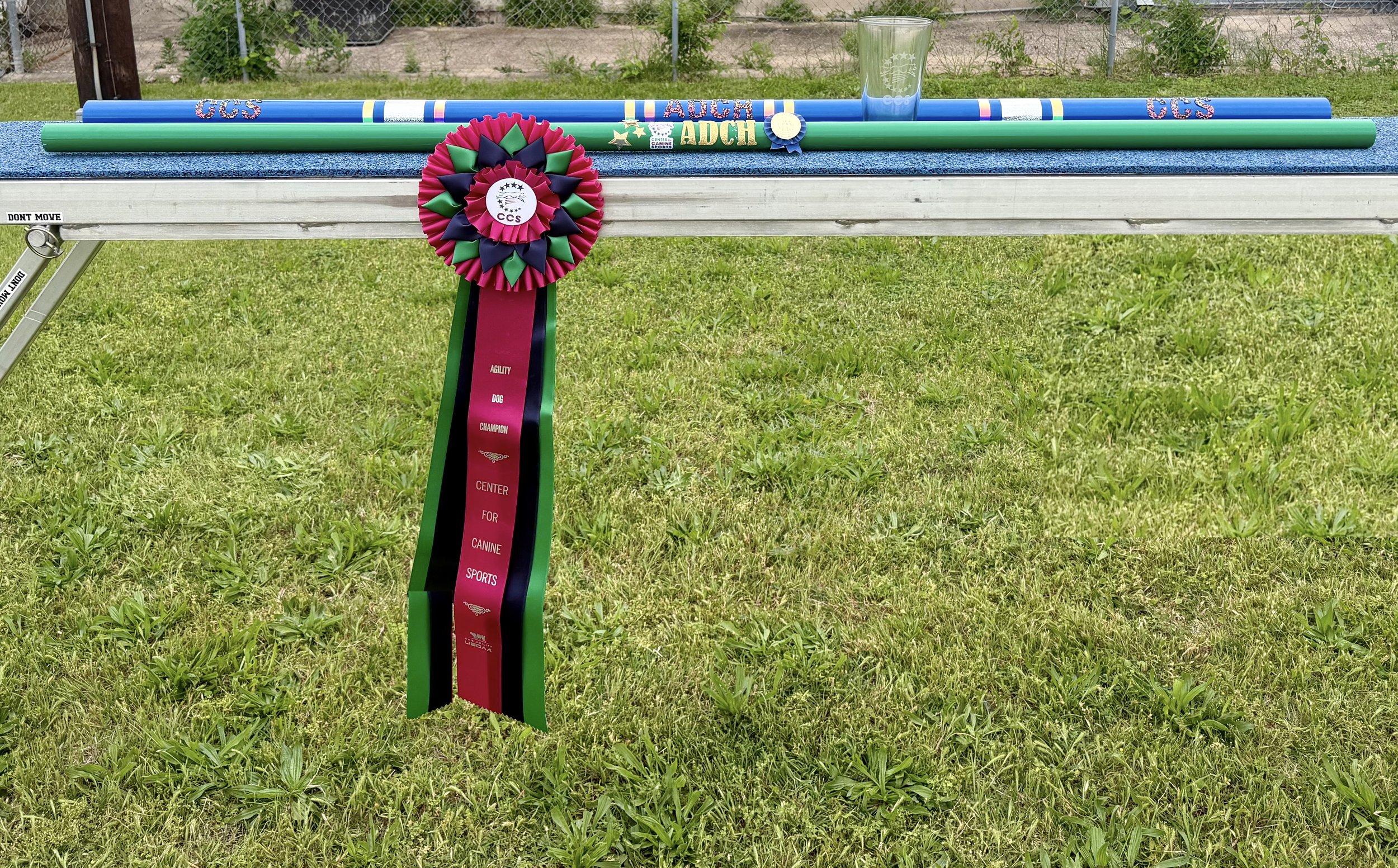 Center for Canine Sports ADCH/PDCH Bling!!!