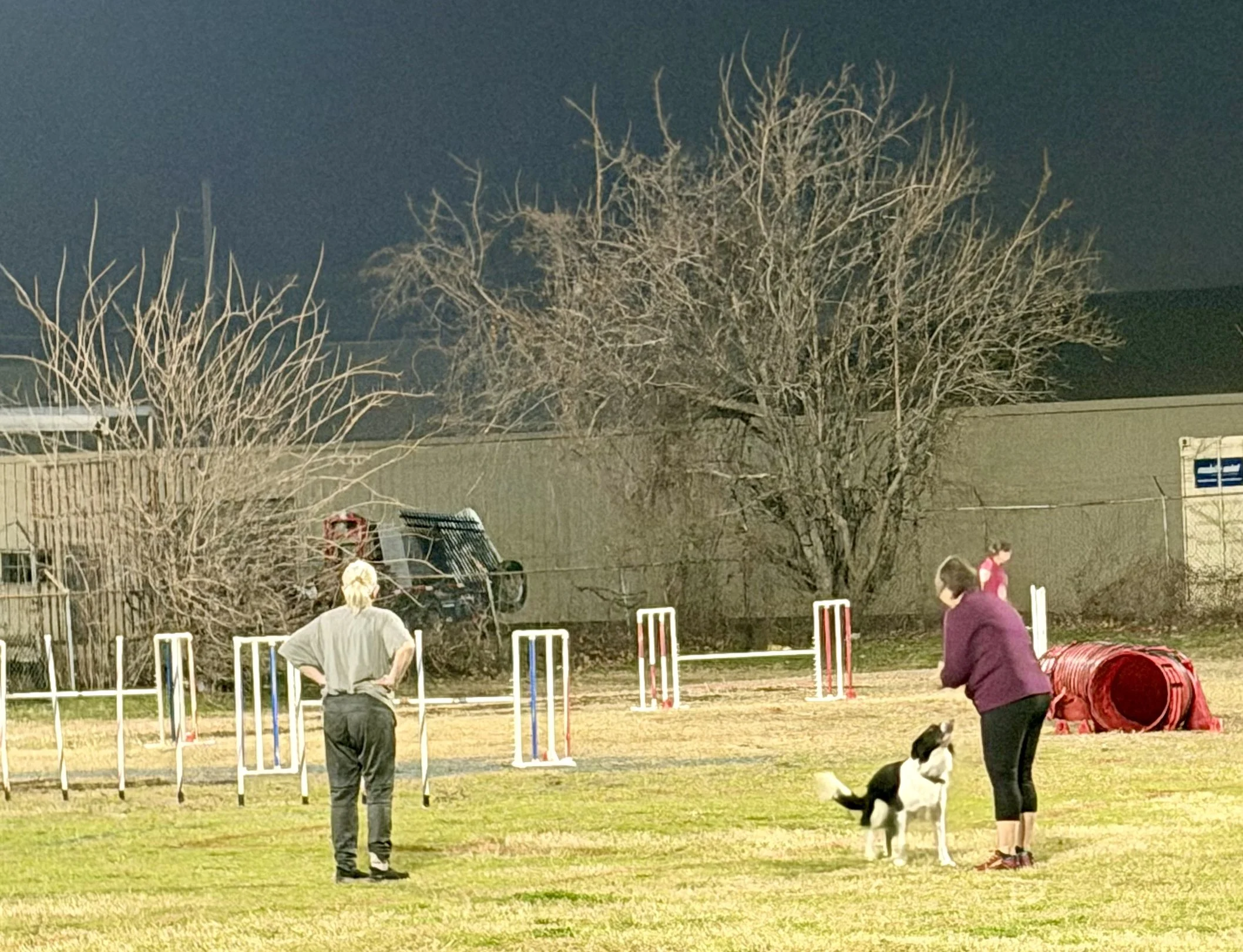 Lisa Ortale and Diana Dann survey Wednesday night's agility course at Center for Canine Sports