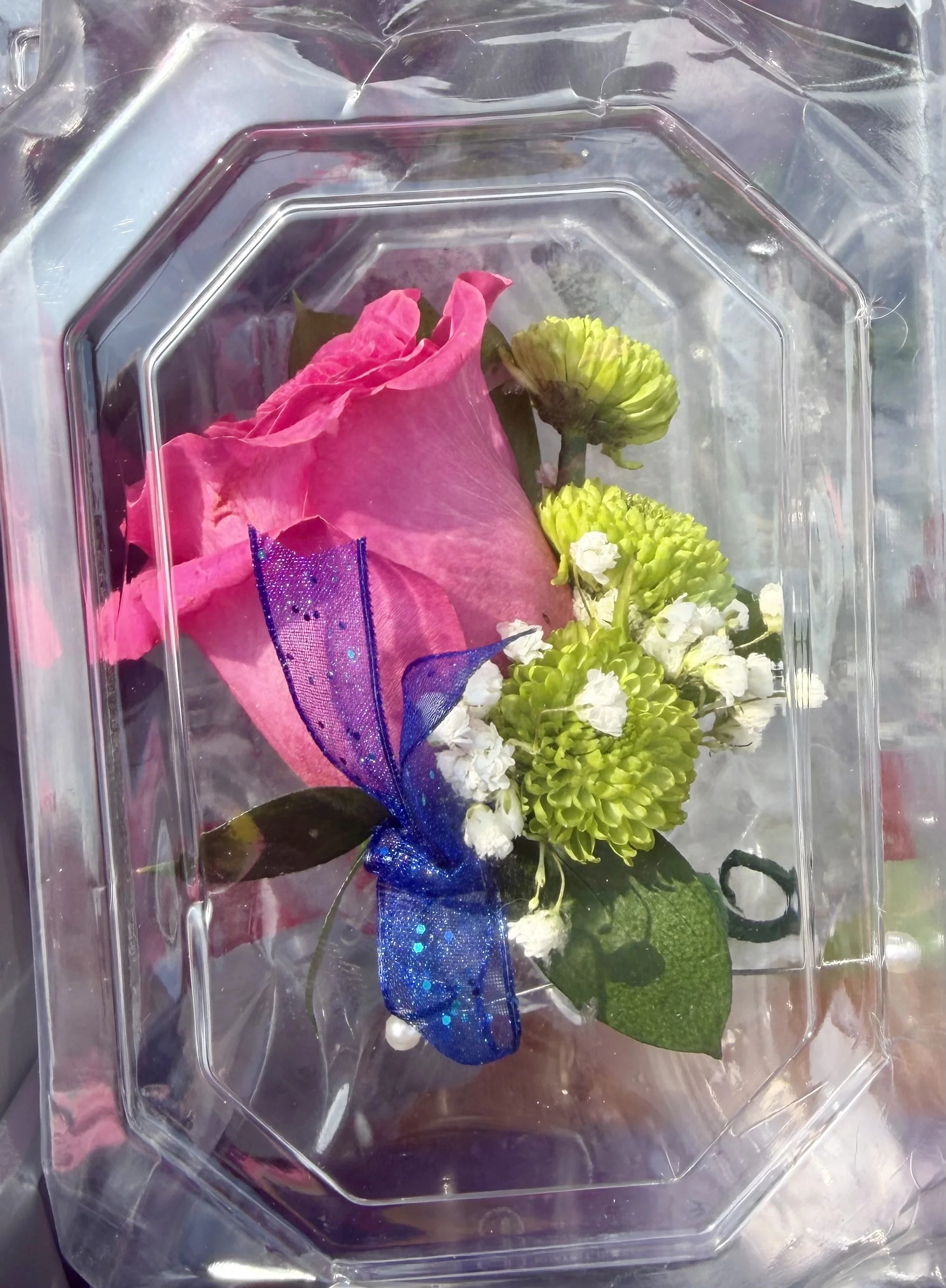 judge's boutonnière in club colors at ccs spring trial 2026