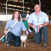 Champion dog Springer.