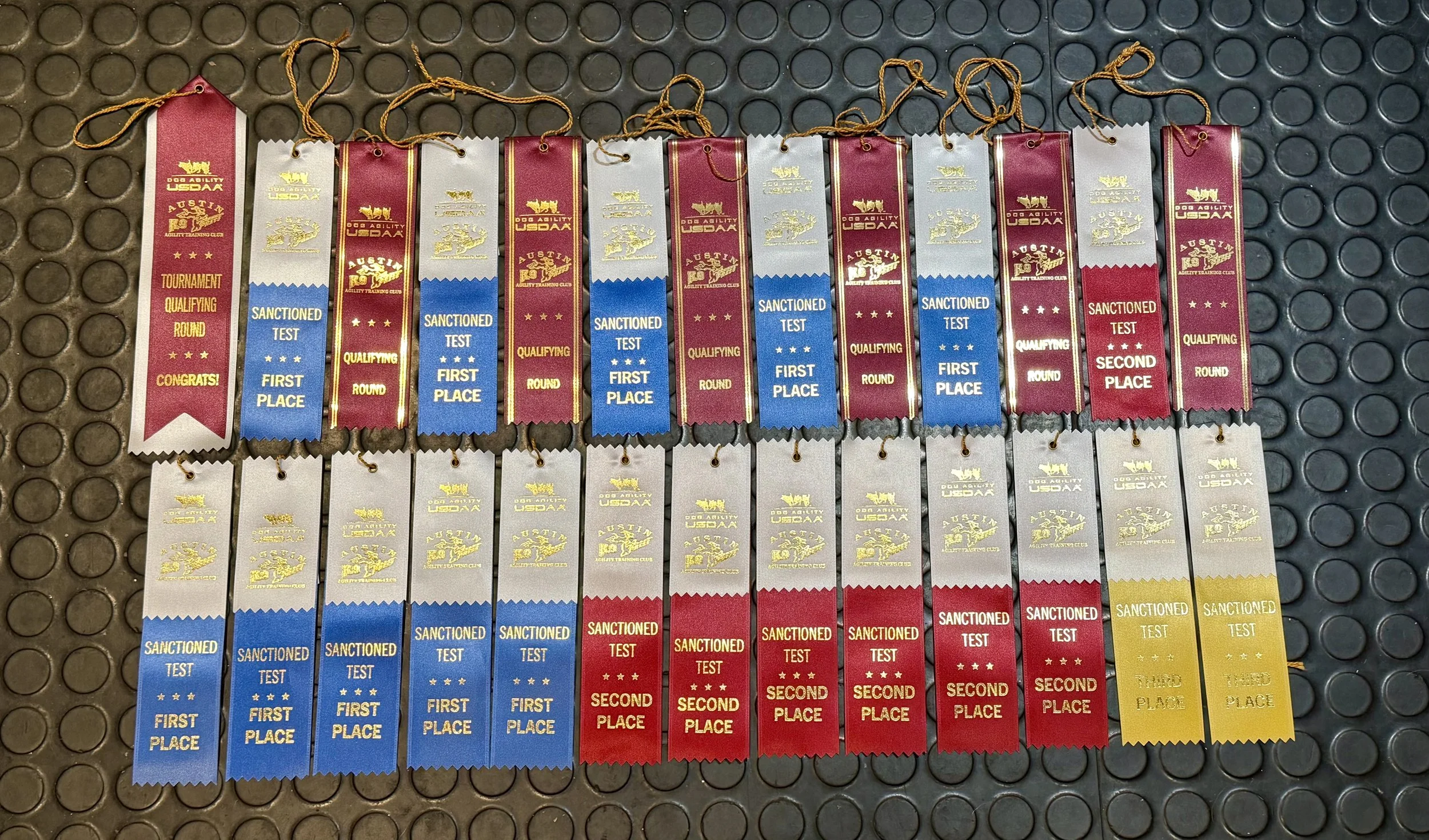 Ribbons won at Lucky Dog Training Center's January USDAA trial