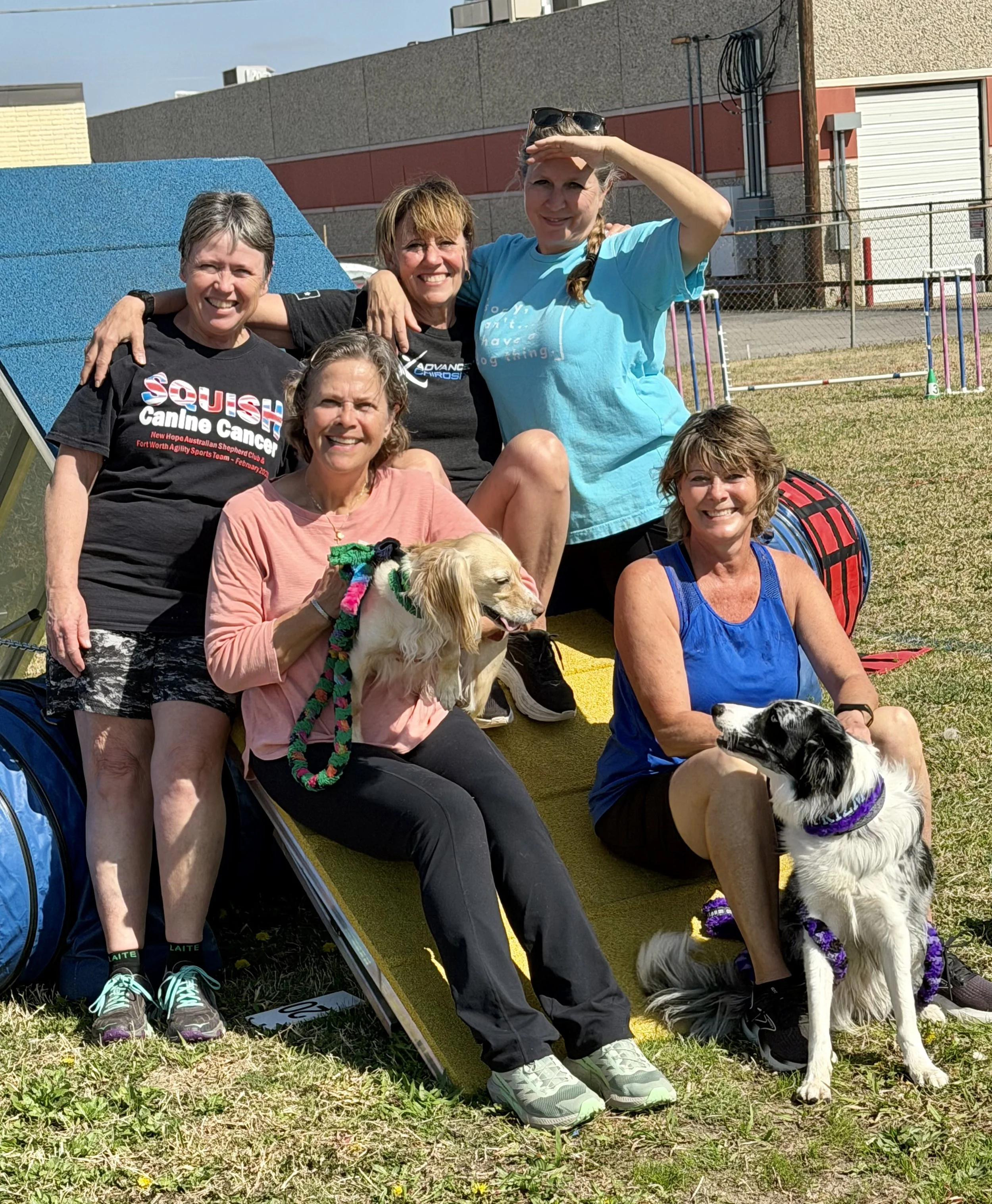 Thursday morning agility classmates at Center for Canine Sports