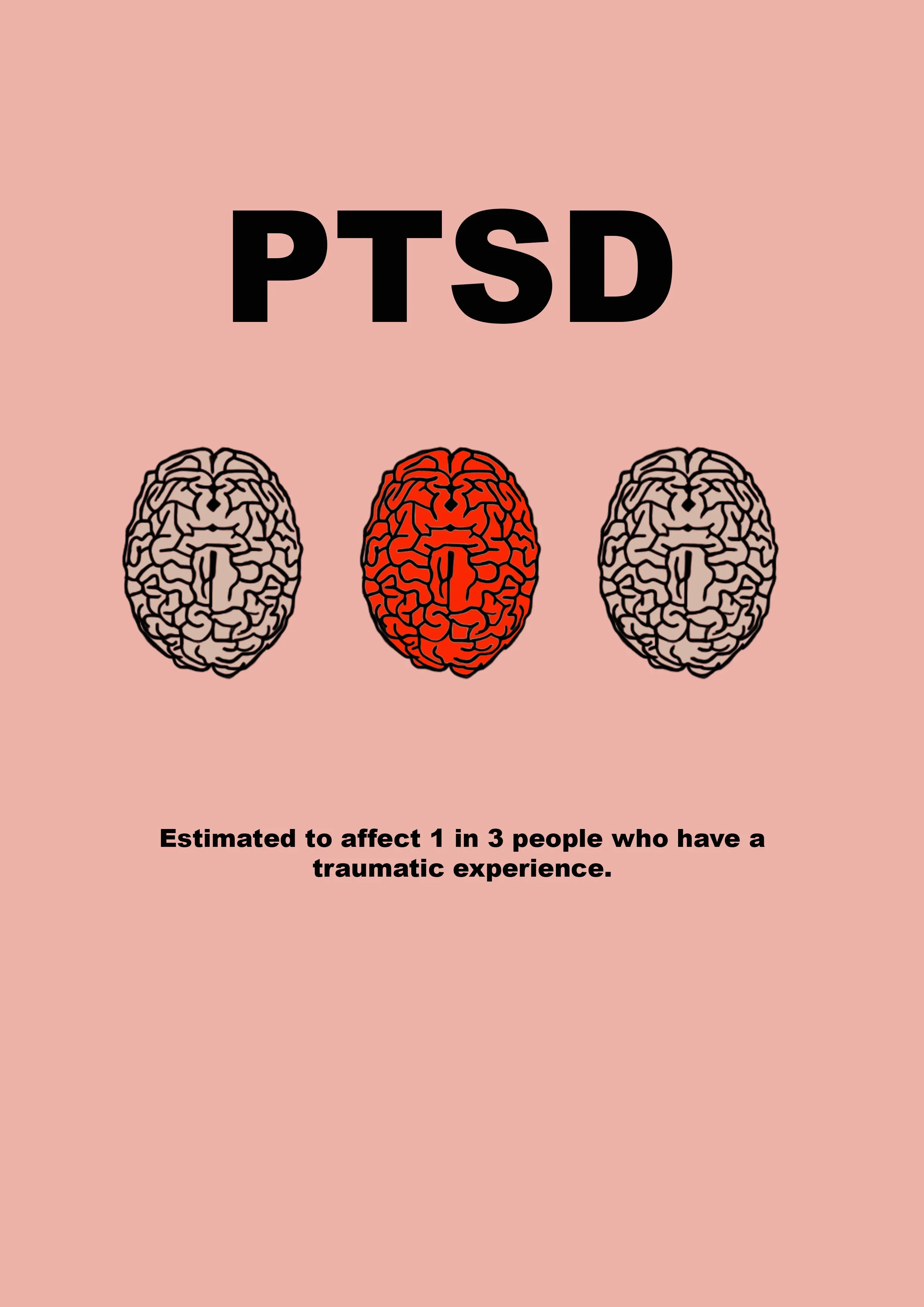 ptsd-fact_52245201624_o.jpg