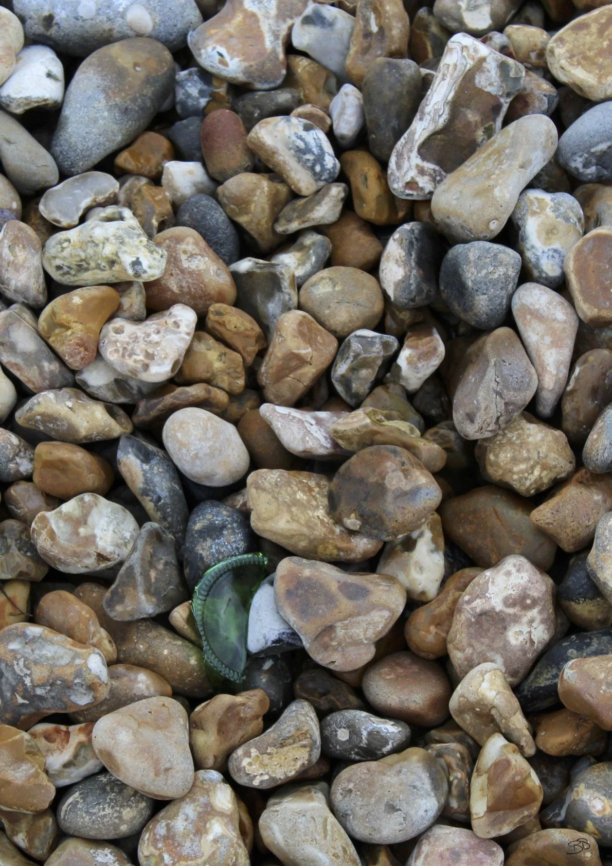 PWR Pebbles .3.jpg