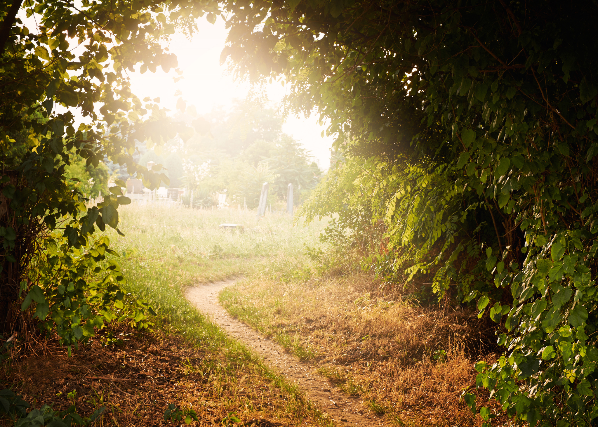 Embracing Failure: A Pathway to Success