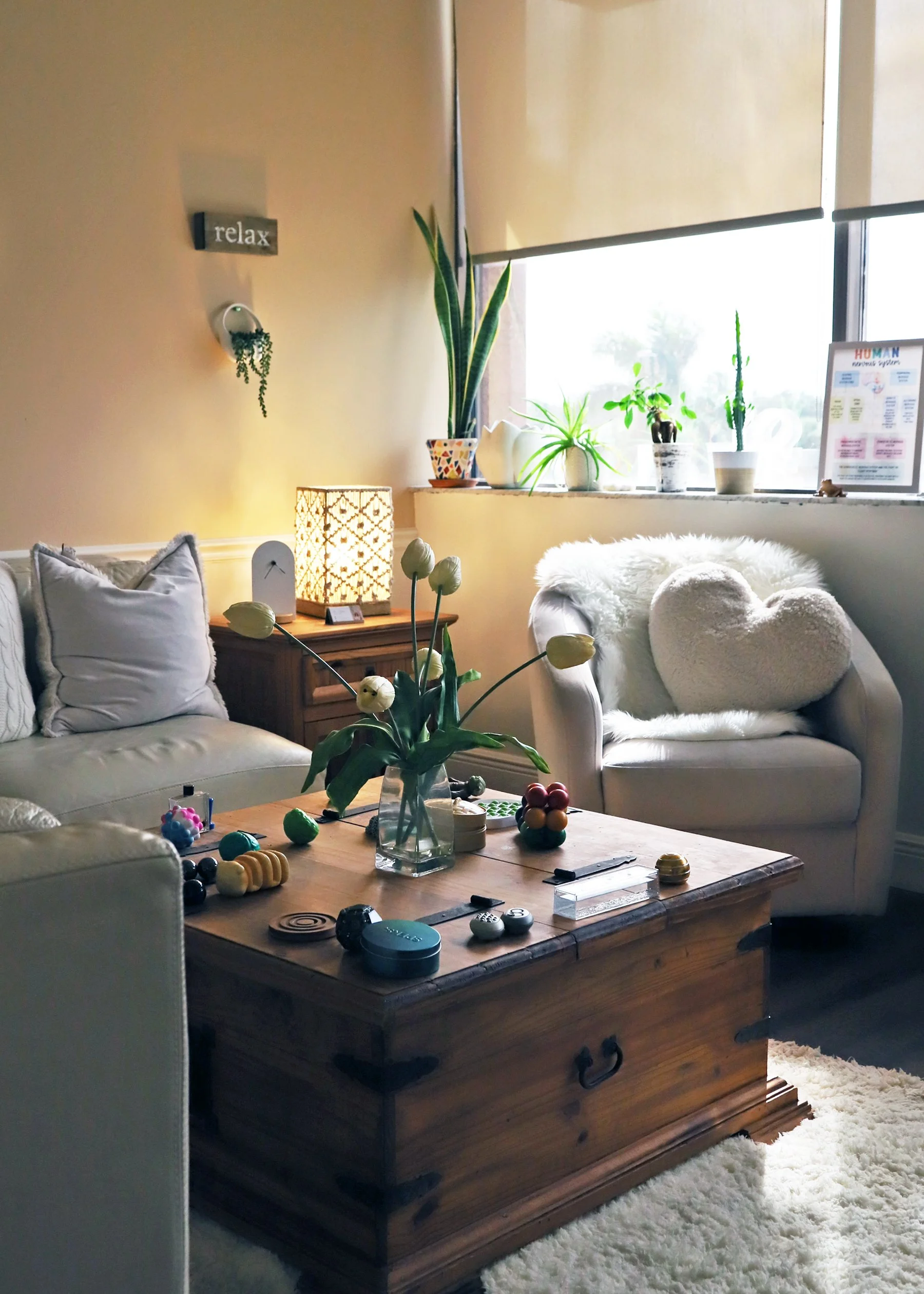 therapy-office-with-plants-and-light.jpg
