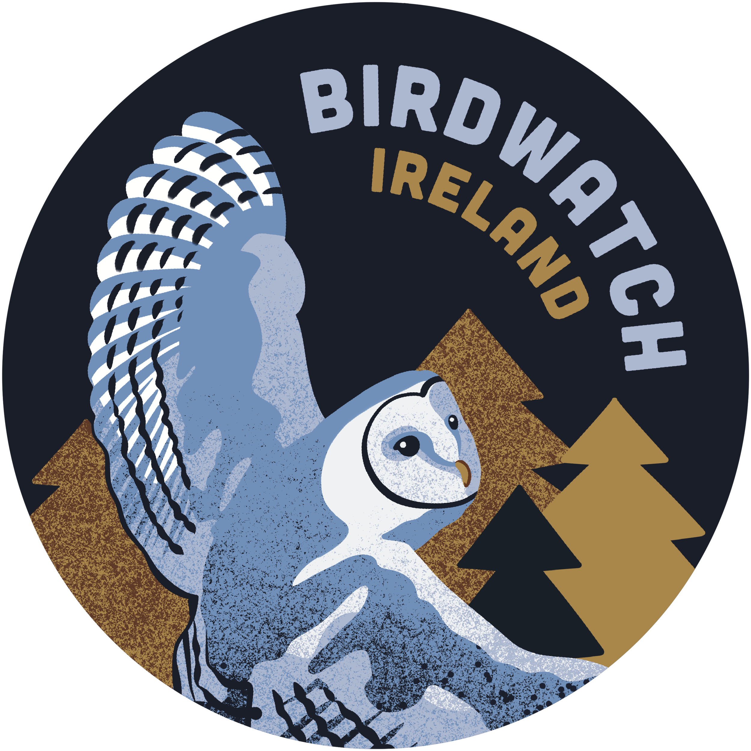 Barn Owl