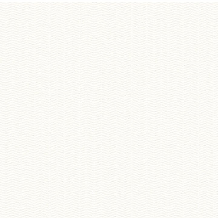 WHITE COLOUR.jpg