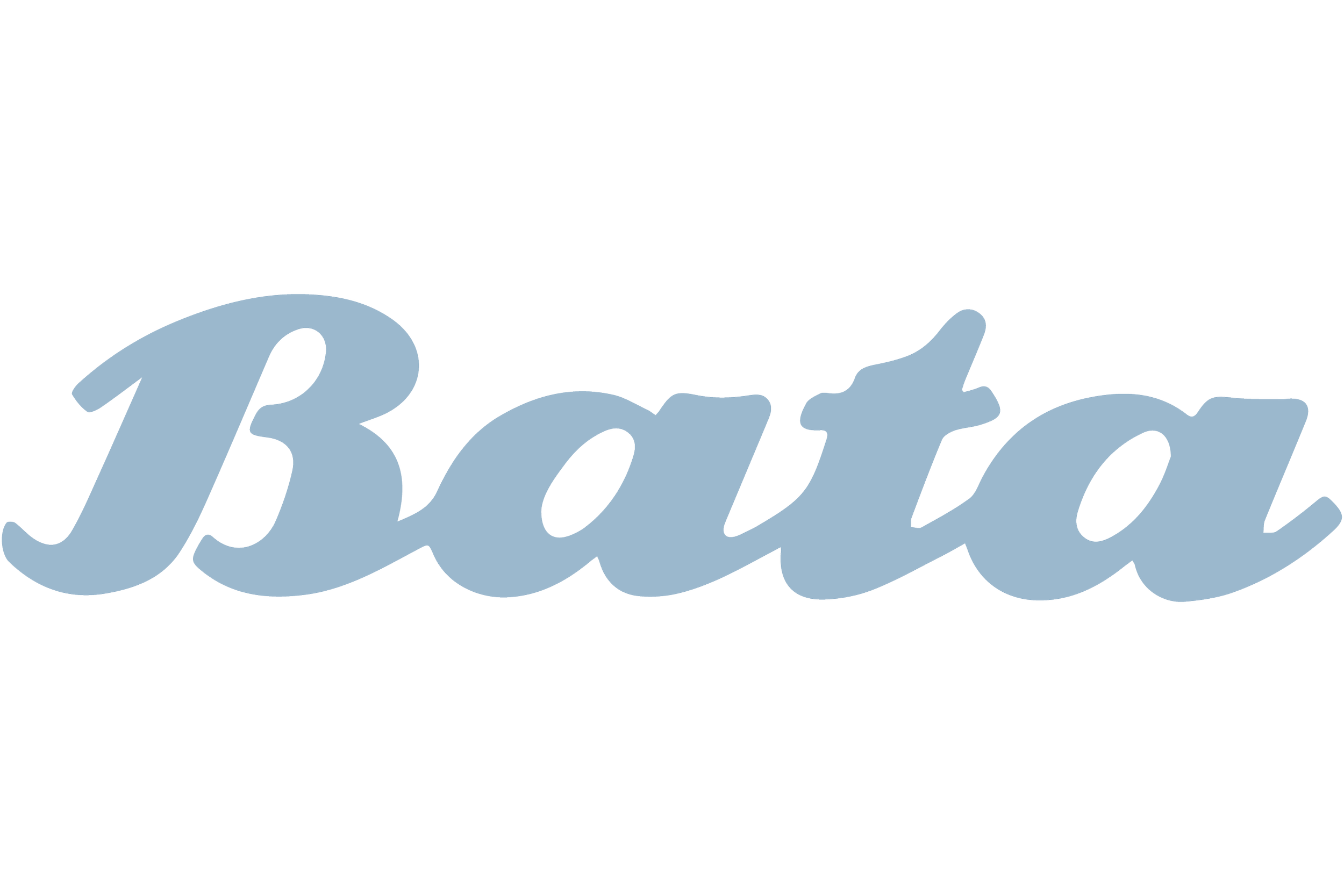 deruiterenco_Bata-02.png