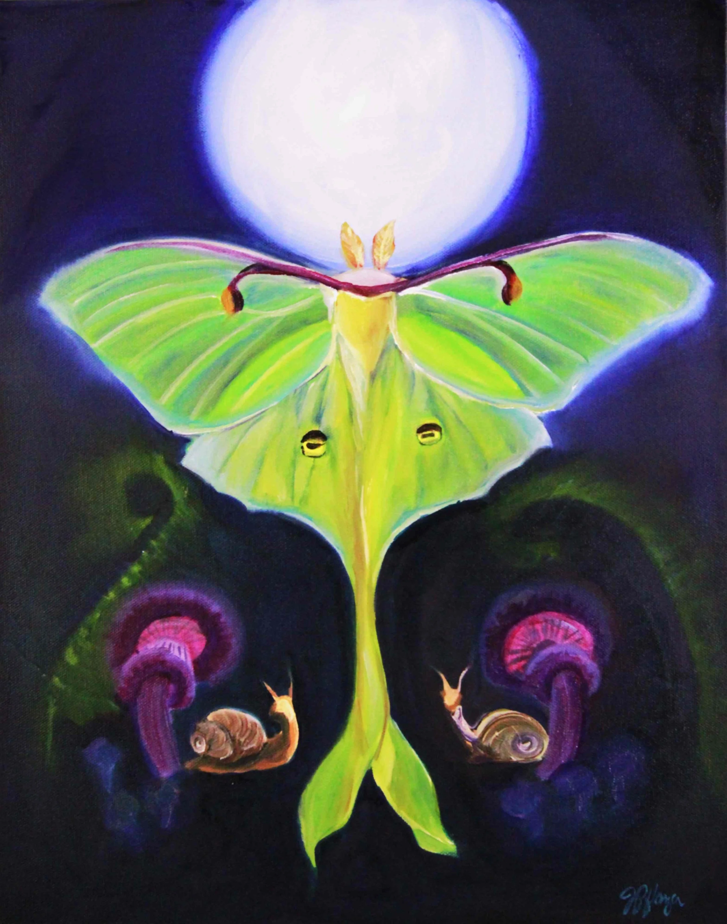 luna moth ws juliepart.JPG
