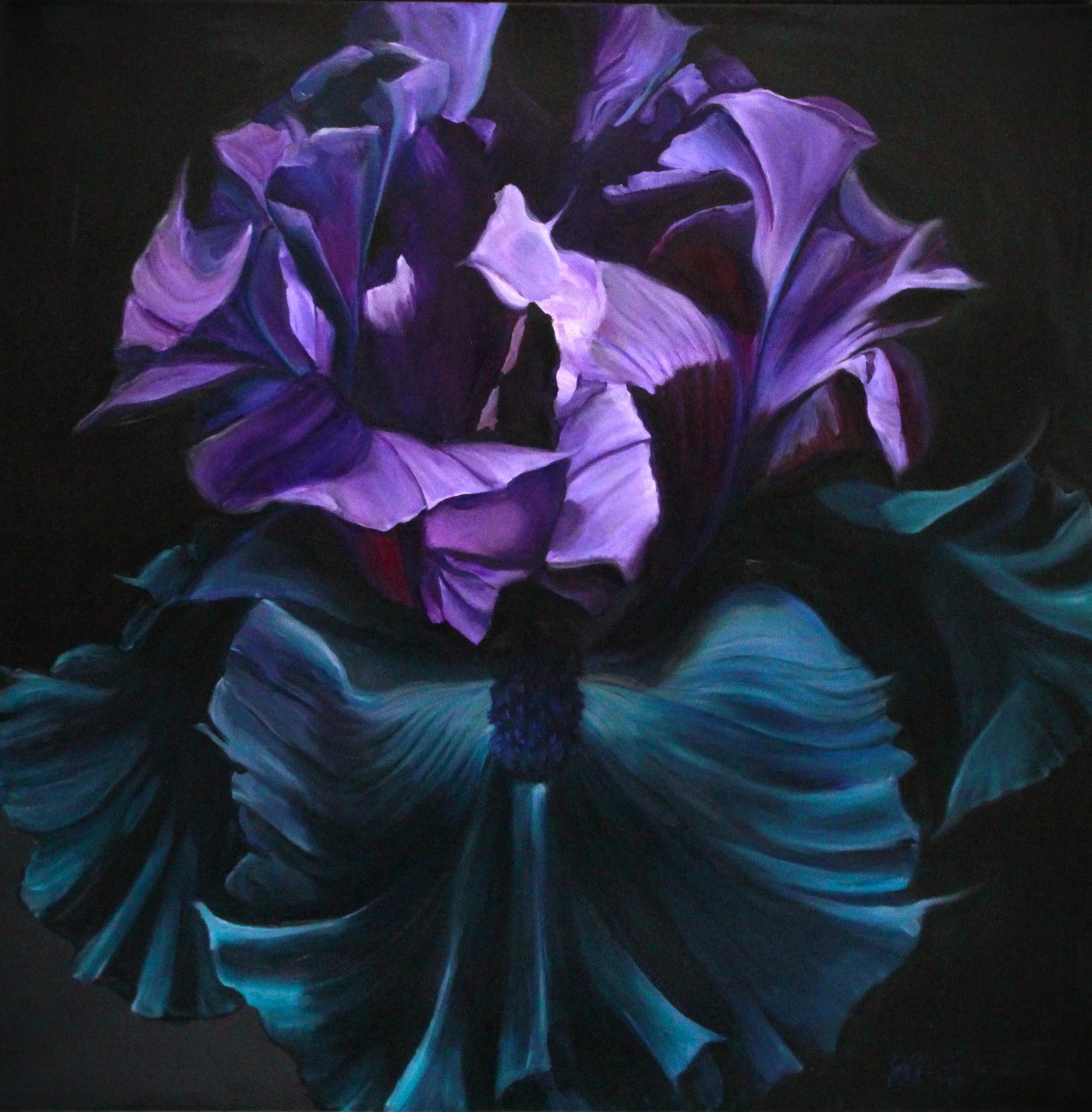 iris dark purple blue.jpg