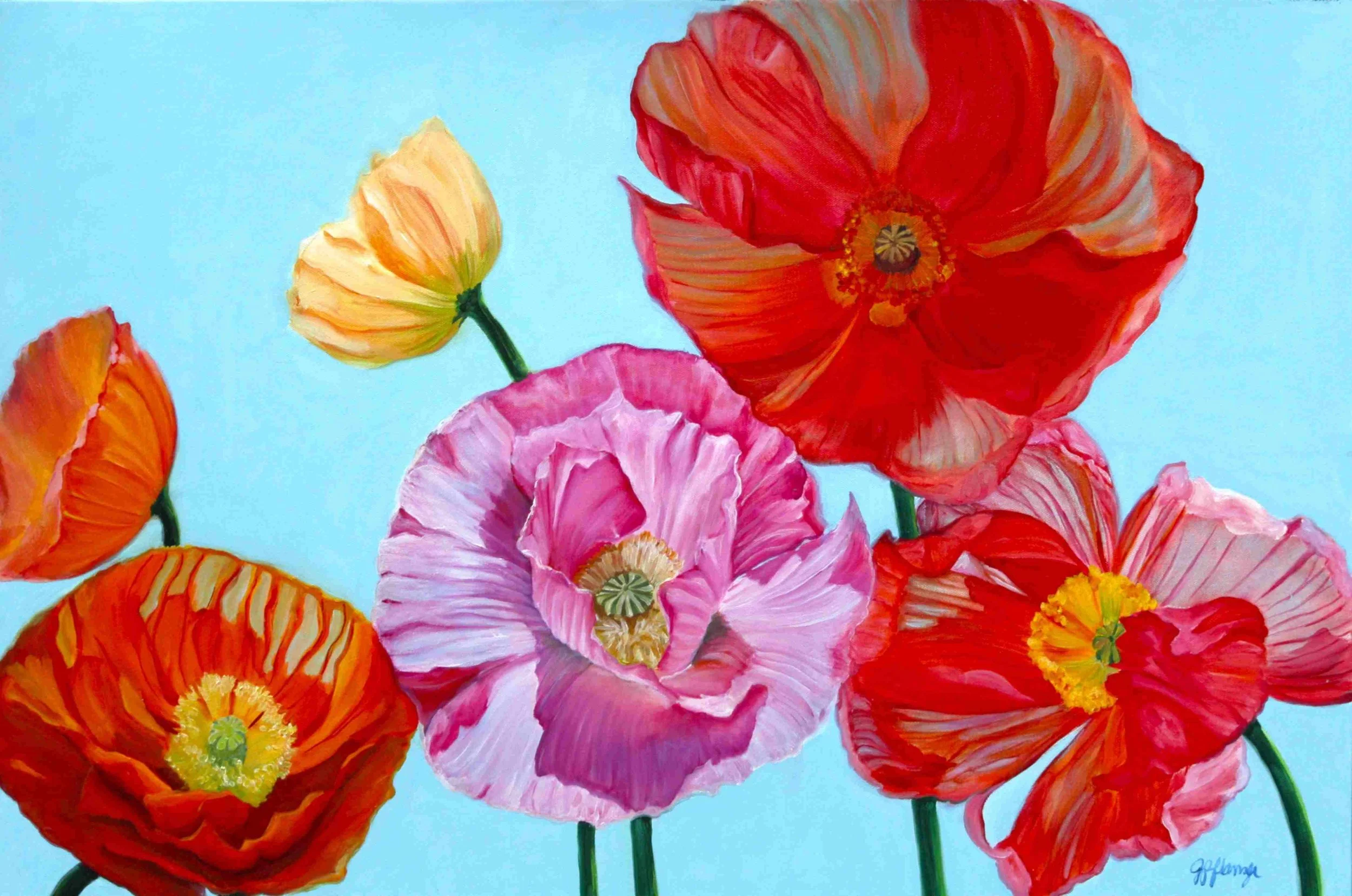 poppies in blue sky ws juliepart.JPG