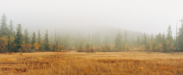 The Sister Bells Trilogy — LARS MYTTING