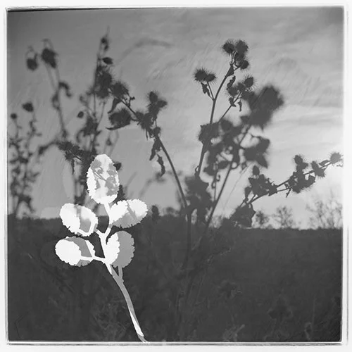 Bewitched (#5)