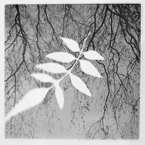 Bewitched (#2)