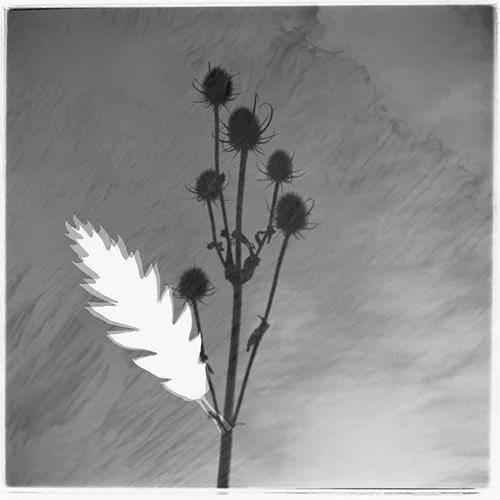 Bewitched (#1)