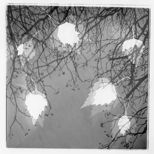 Bewitched (#6)
