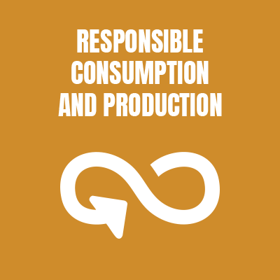 A brown background with white text that reads "Responsible Consumption and Production" and an infinity symbol with an arrow at one end.