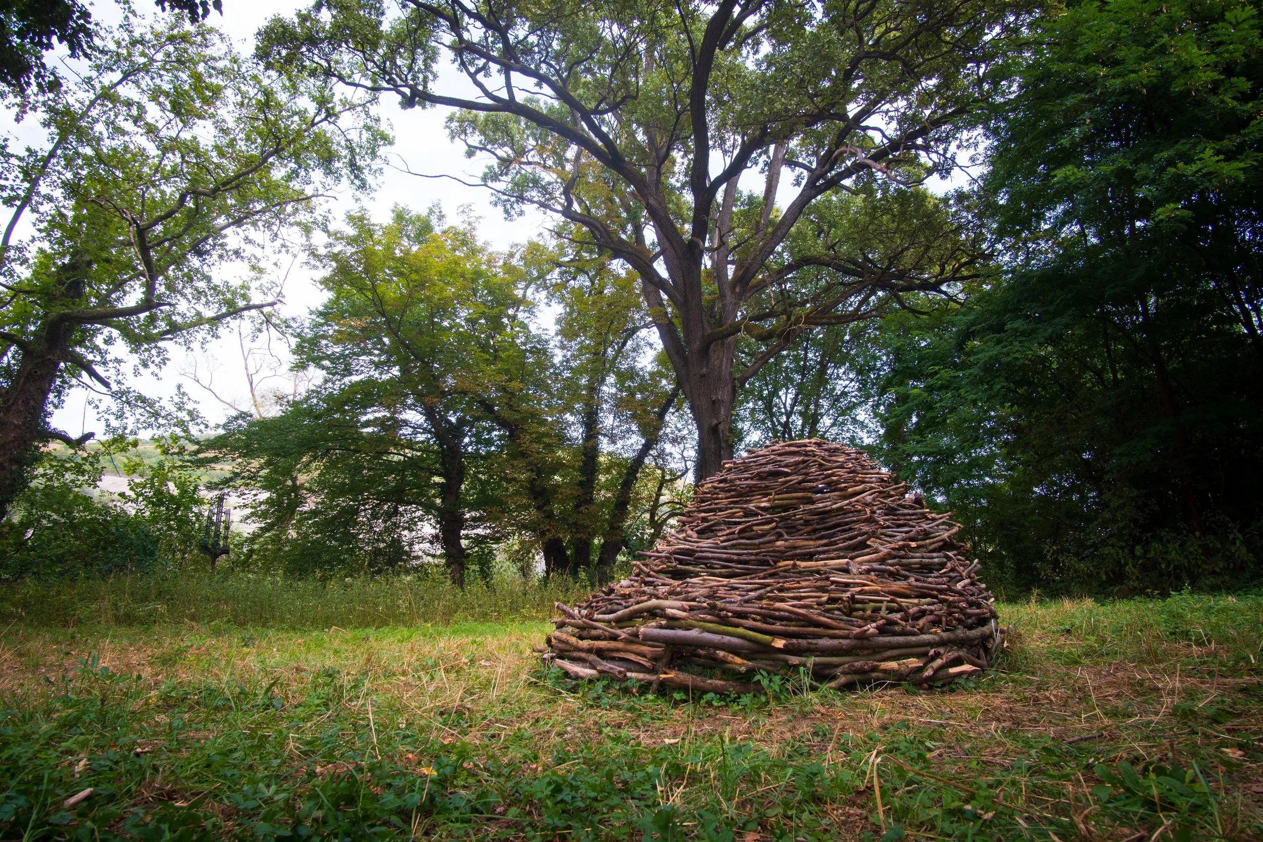 Nest V | Site-specific installation | wood | 2026