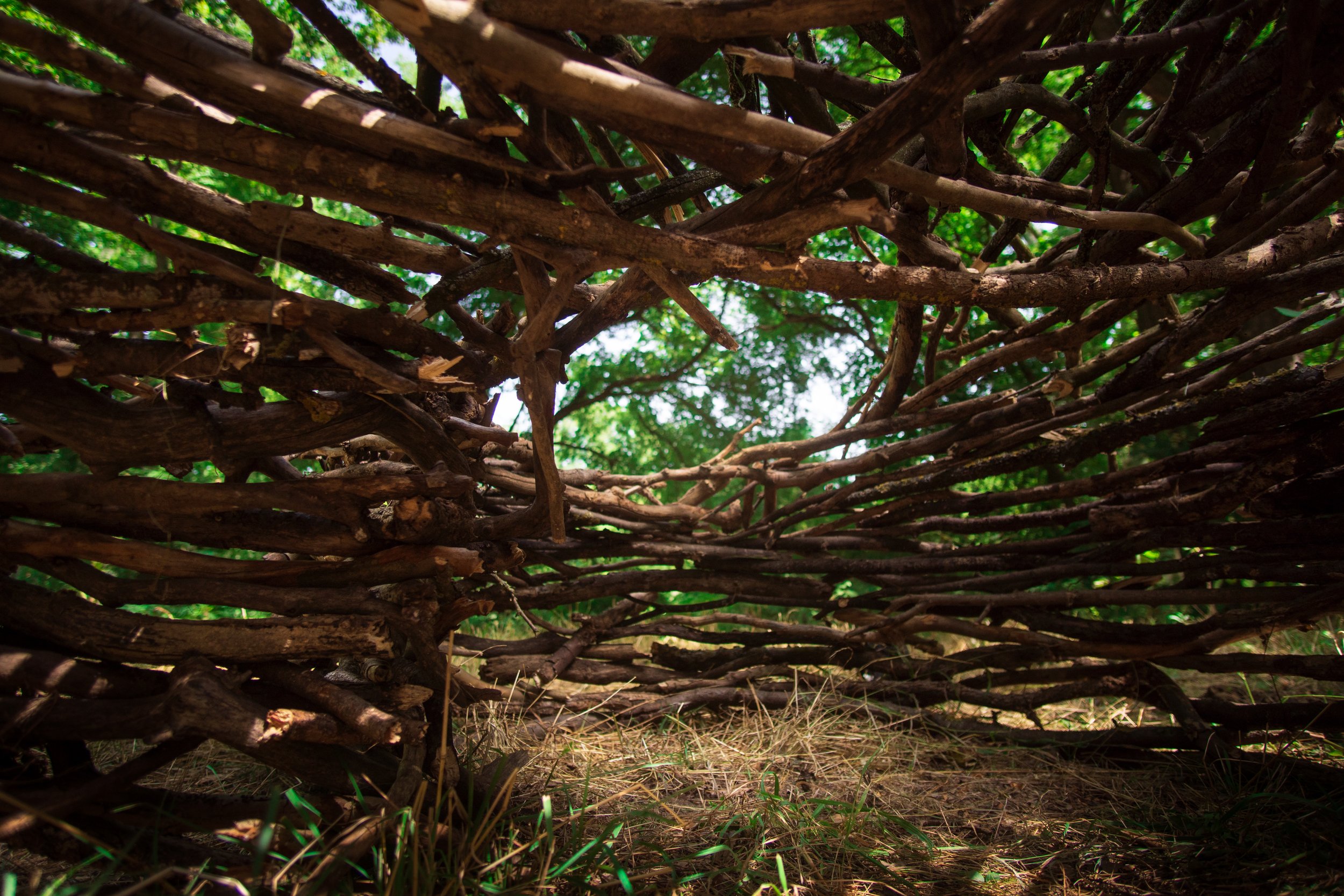 Fetus (Nest IV) | Site-specific installation | wood | 2026
