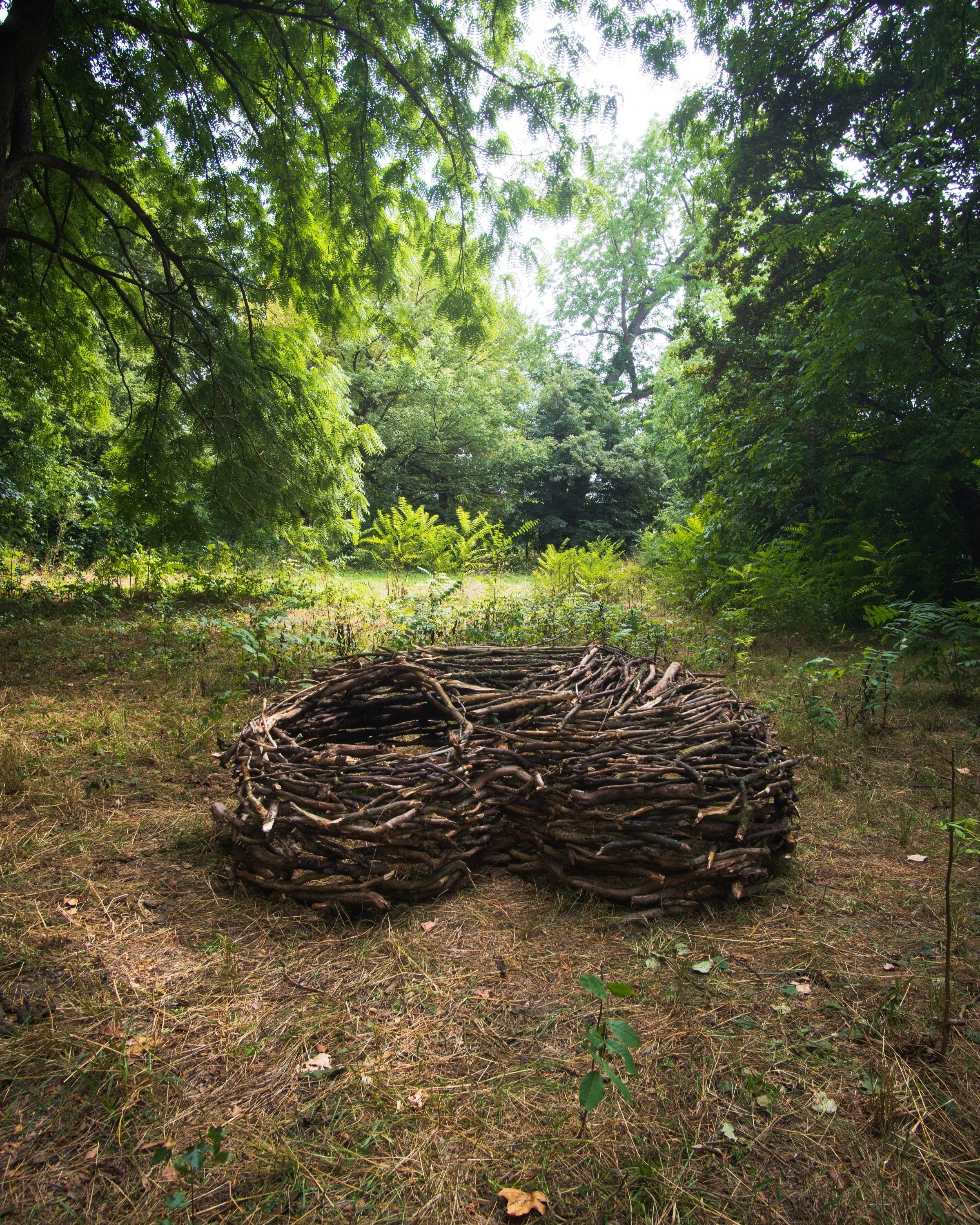 Fetus (Nest IV) | Site-specific installation | wood | 2026