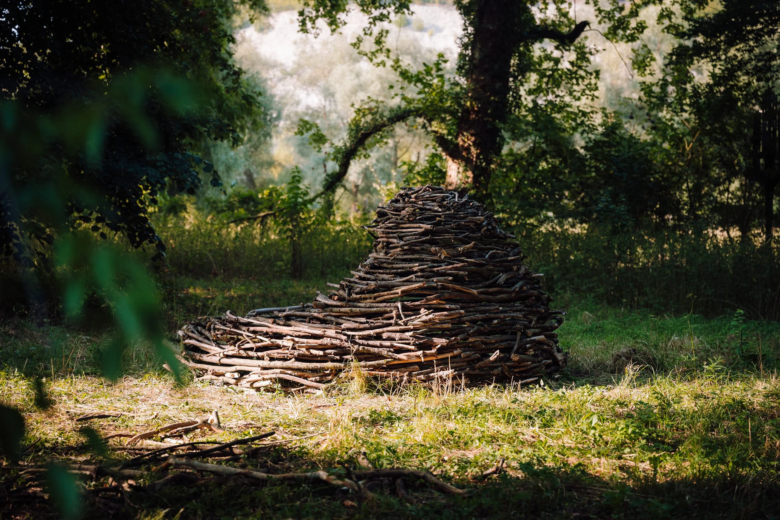 Nest V | Site-specific installation | wood | 2026