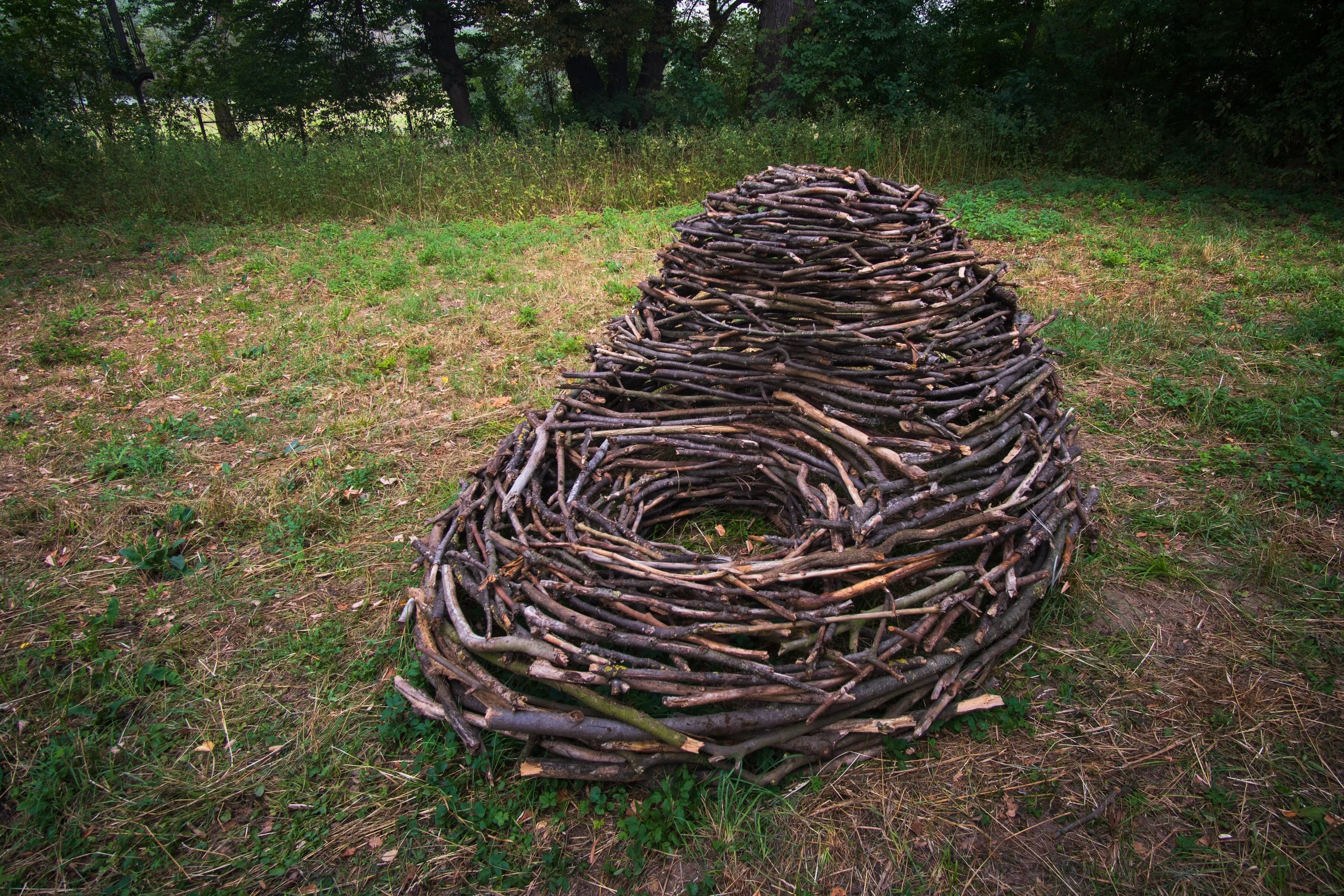 Nest V | Site-specific installation | wood | 2026