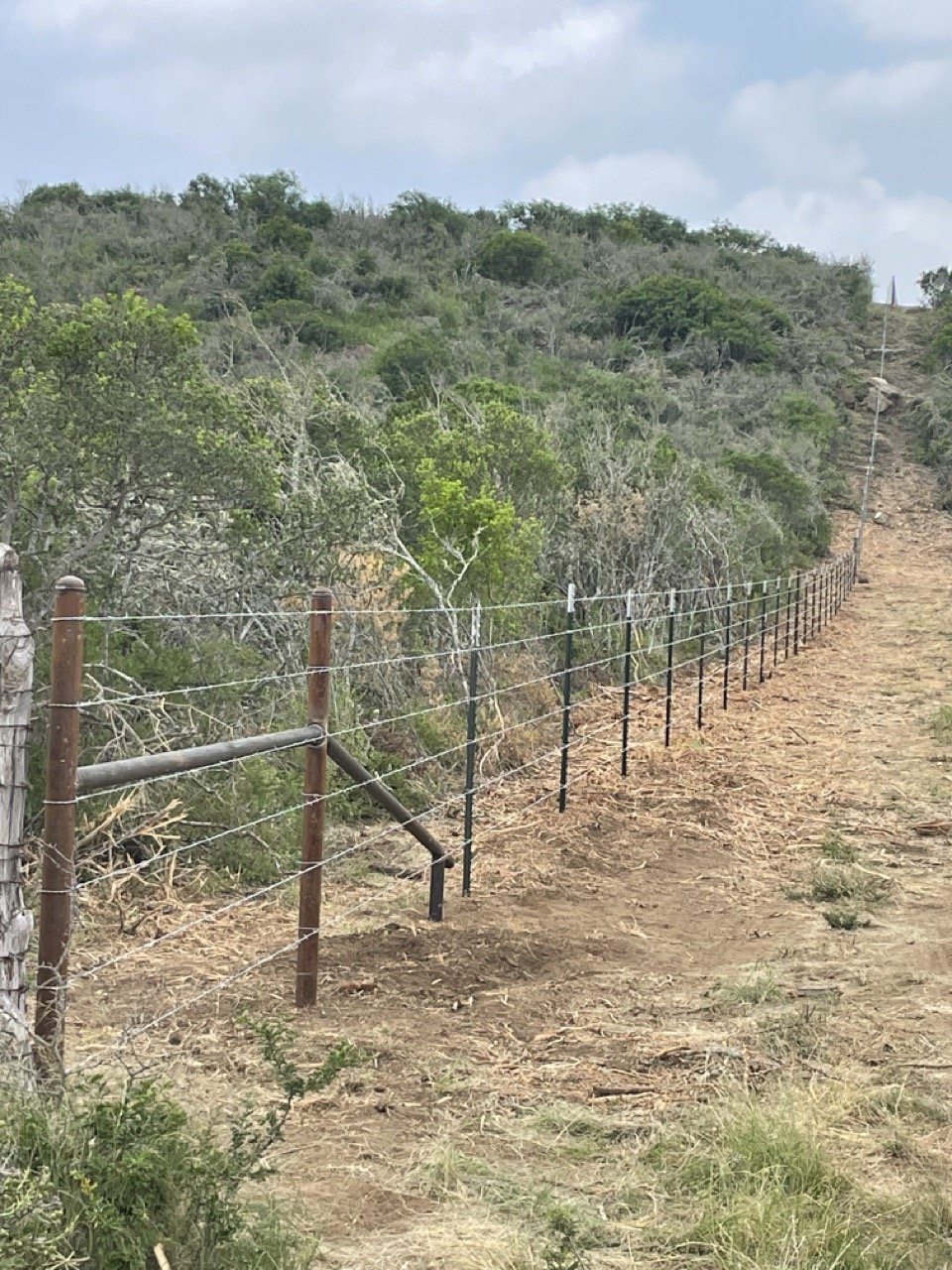 Fencing - Medina County