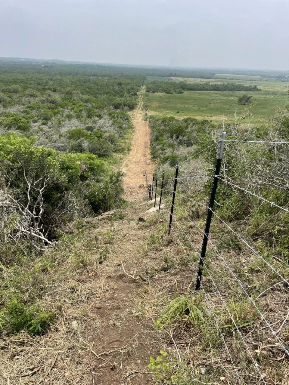 Fencing - Medina County