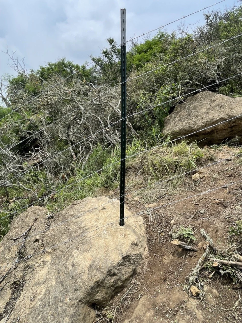 Fencing - Medina County