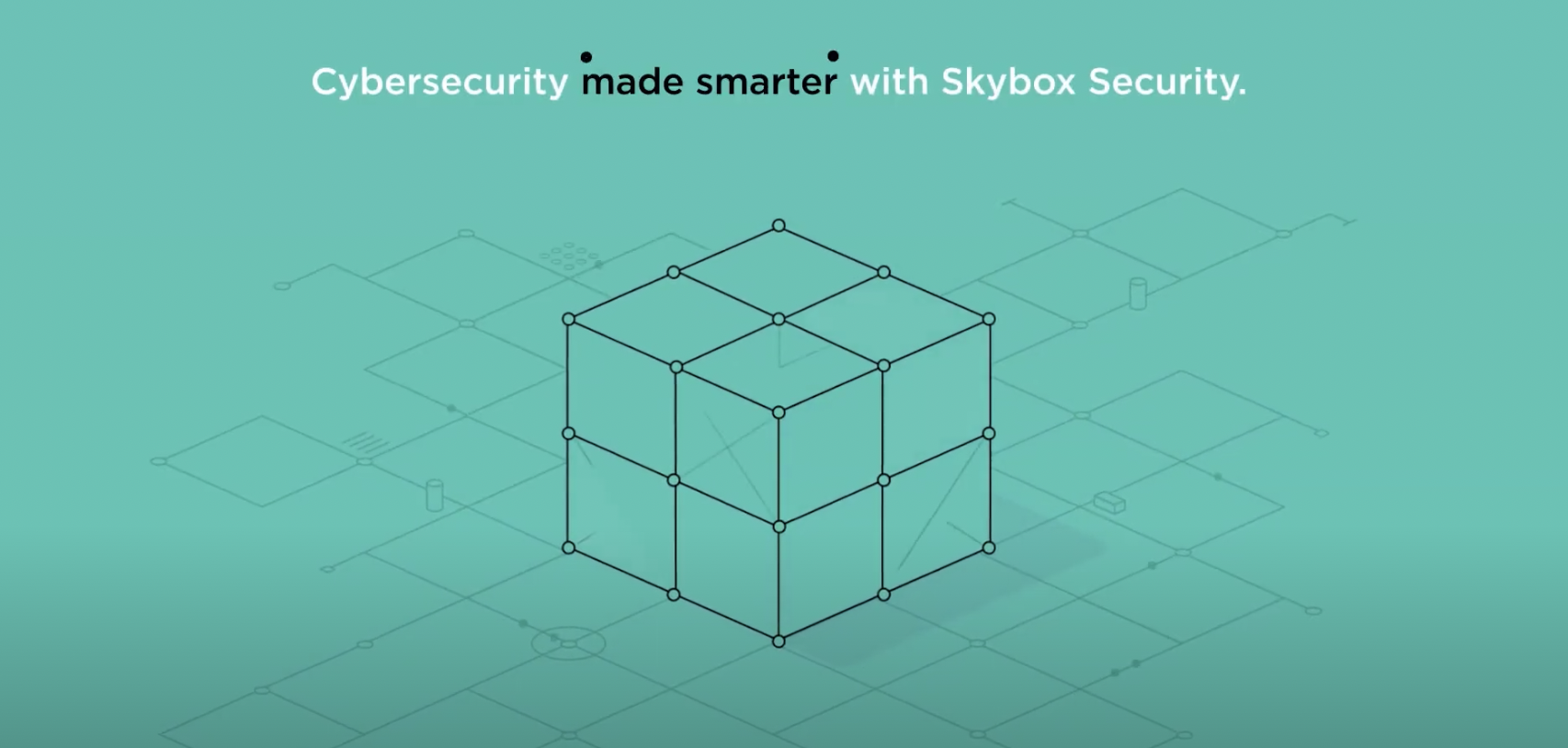 Skybox Security 