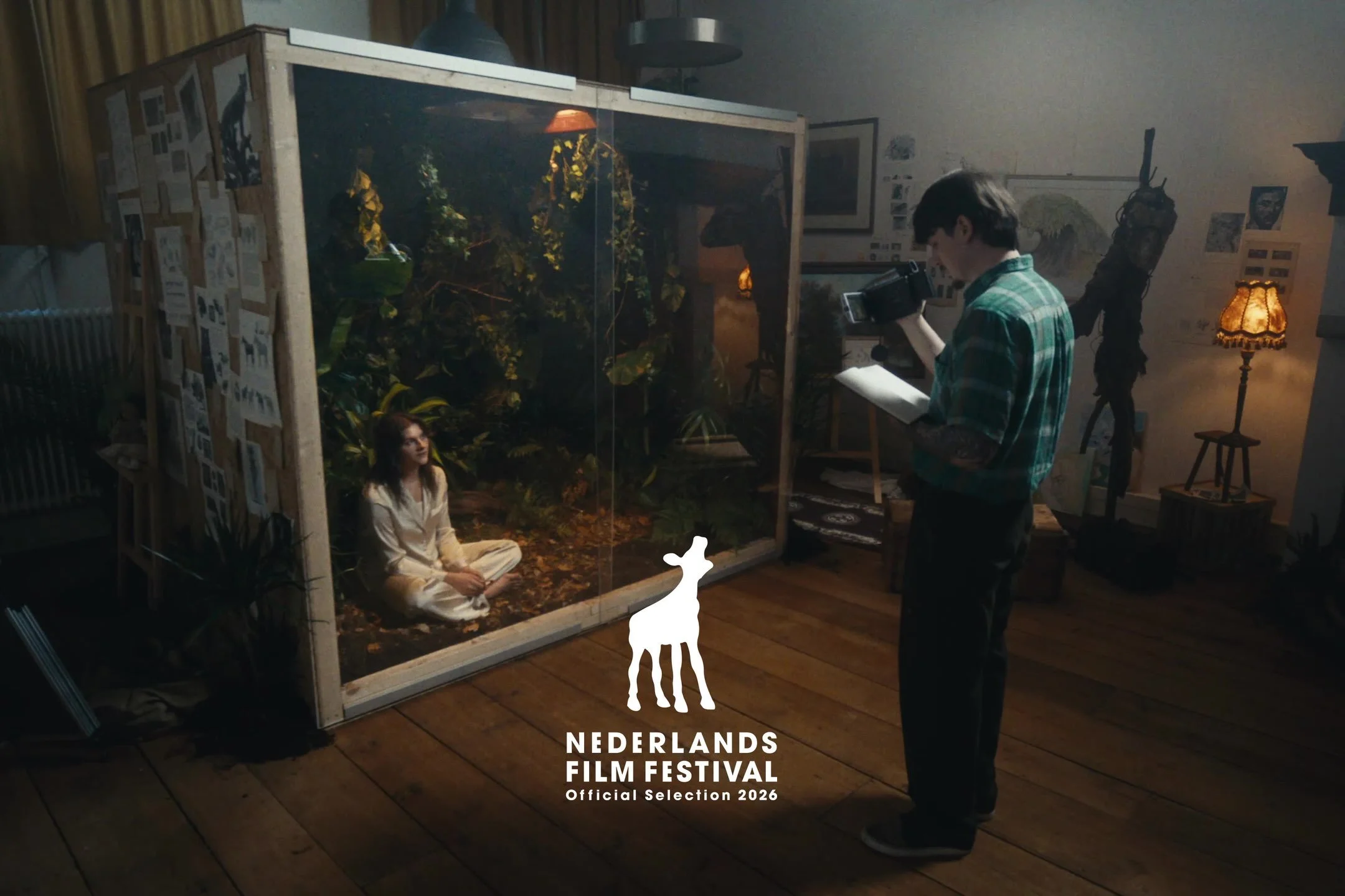  Metamorfose  - Short Film 
Editor