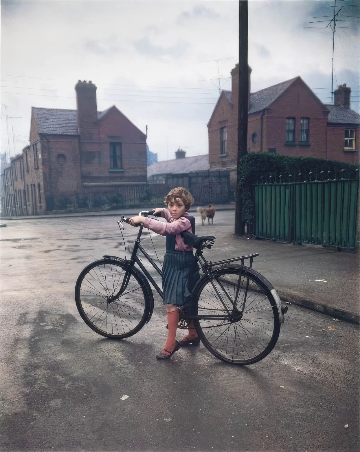evelyn hofer
