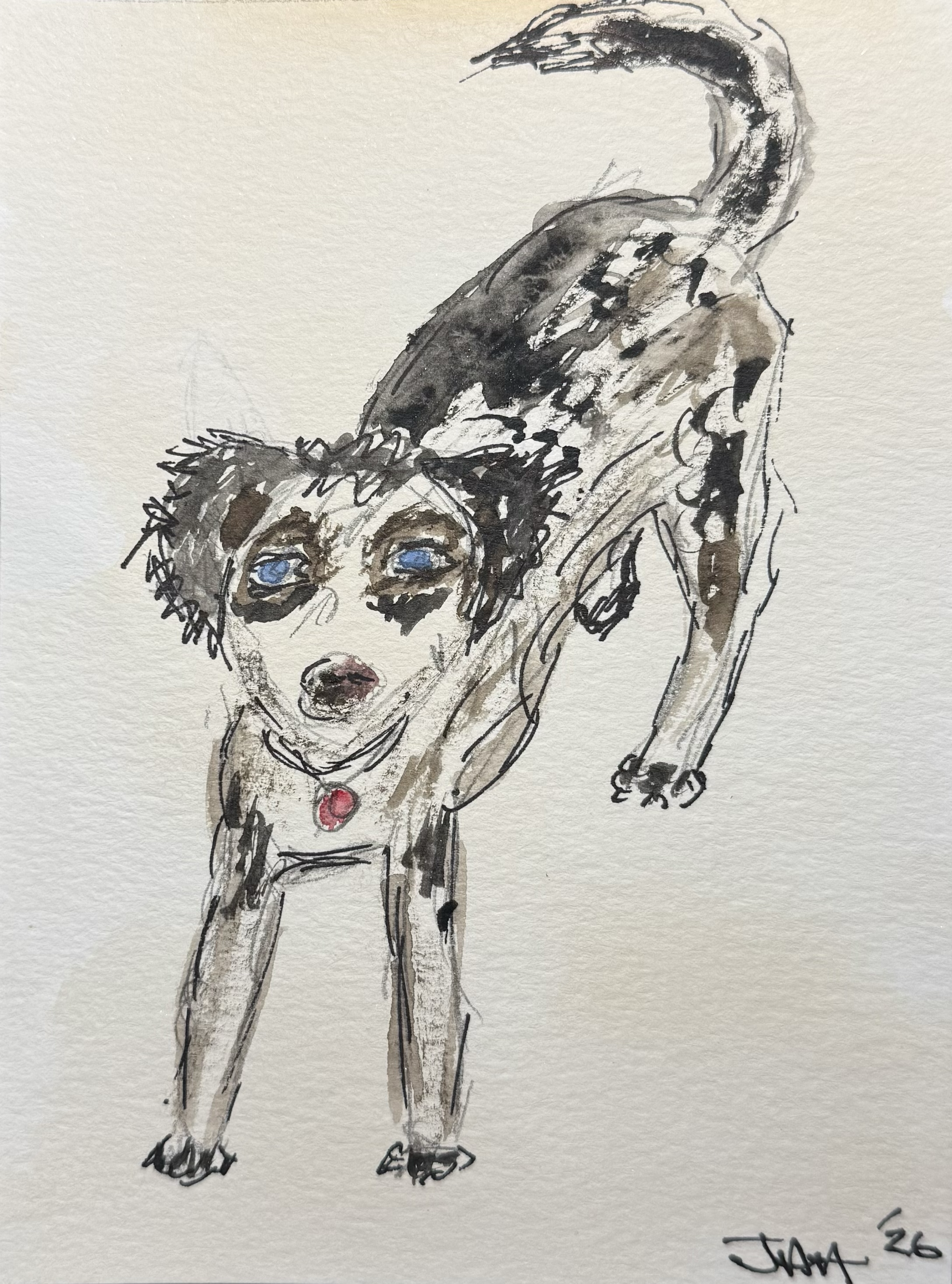 IMG_5445eb0t9w.png