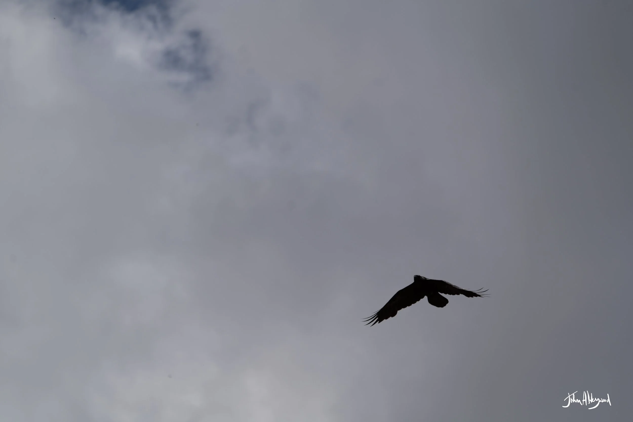 DSC04165.jpg