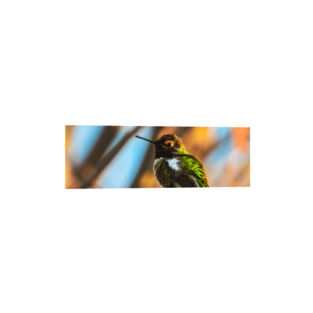ptq_1_2_0_506_4608_1536_0_false_ffffff_0_0_.png