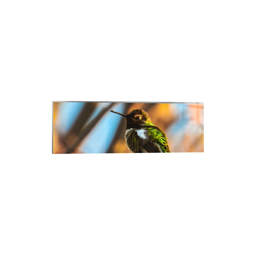ptq_13_2_0_506_4608_1536_0_false_ffffff_0_0_.png