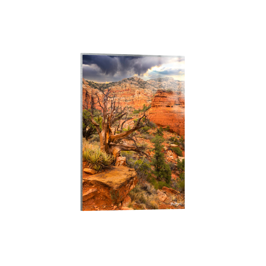ptq_13_3_2_0_5578_8368_0_false_ffffff_0_0_.png