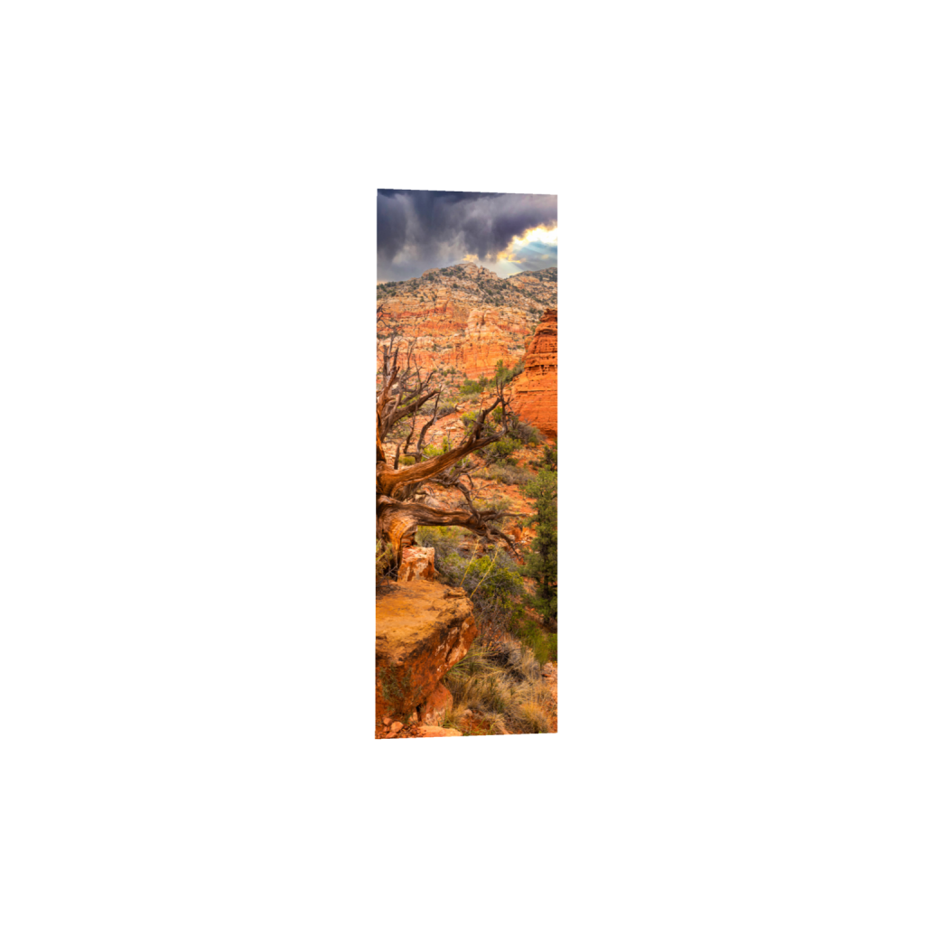 ptq_1_2_1397_0_2789_8368_0_false_ffffff_0_0_.png