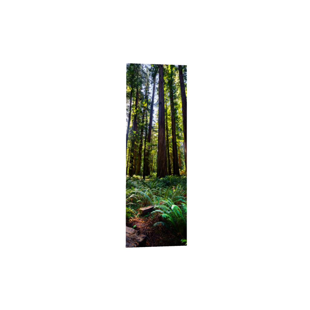 ptq_1_2_1366_0_2730_8192_0_false_ffffff_0_0_.png