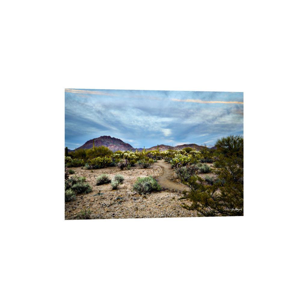 ptq_1_7_417_0_5602_4002_0_false_ffffff_0_0_.png