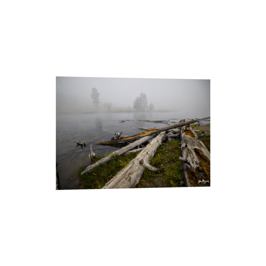 ptq_1_7_417_0_5602_4002_0_false_ffffff_0_0_.png