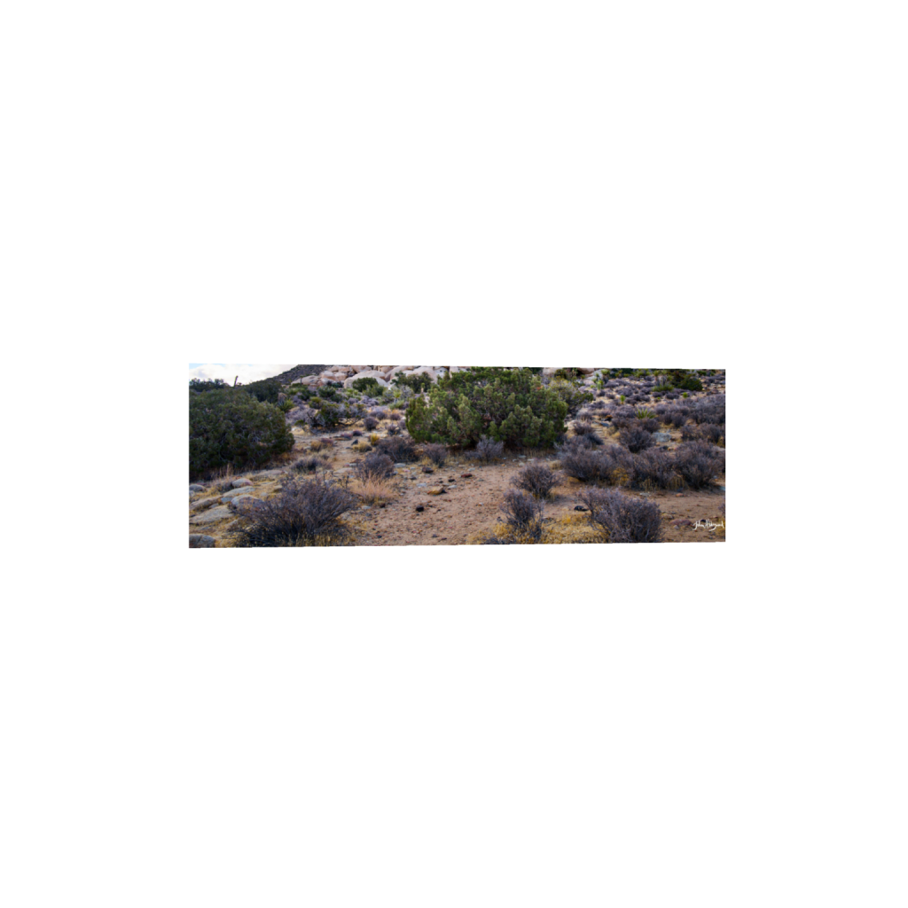 ptq_1_2_0_1904_5700_1900_0_false_ffffff_0_0_.png